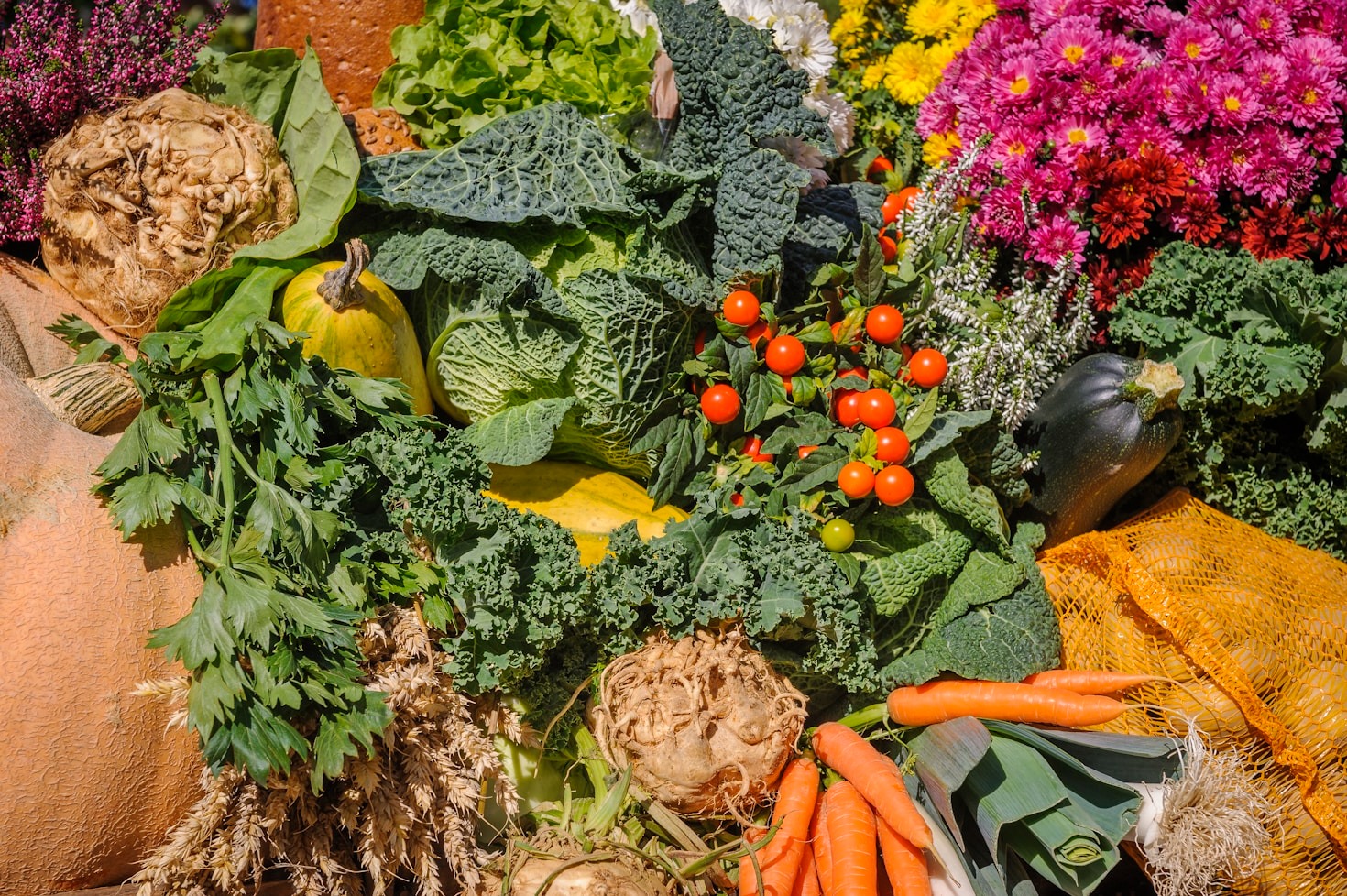 Cómo nuestras verduras elevan tu cocina